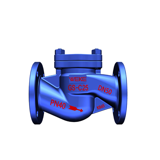 Lift Check Valve