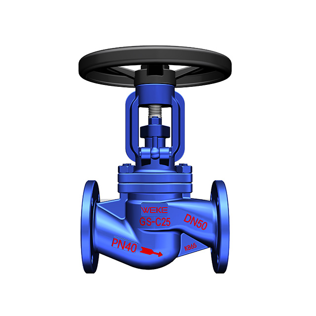 Globe Valve